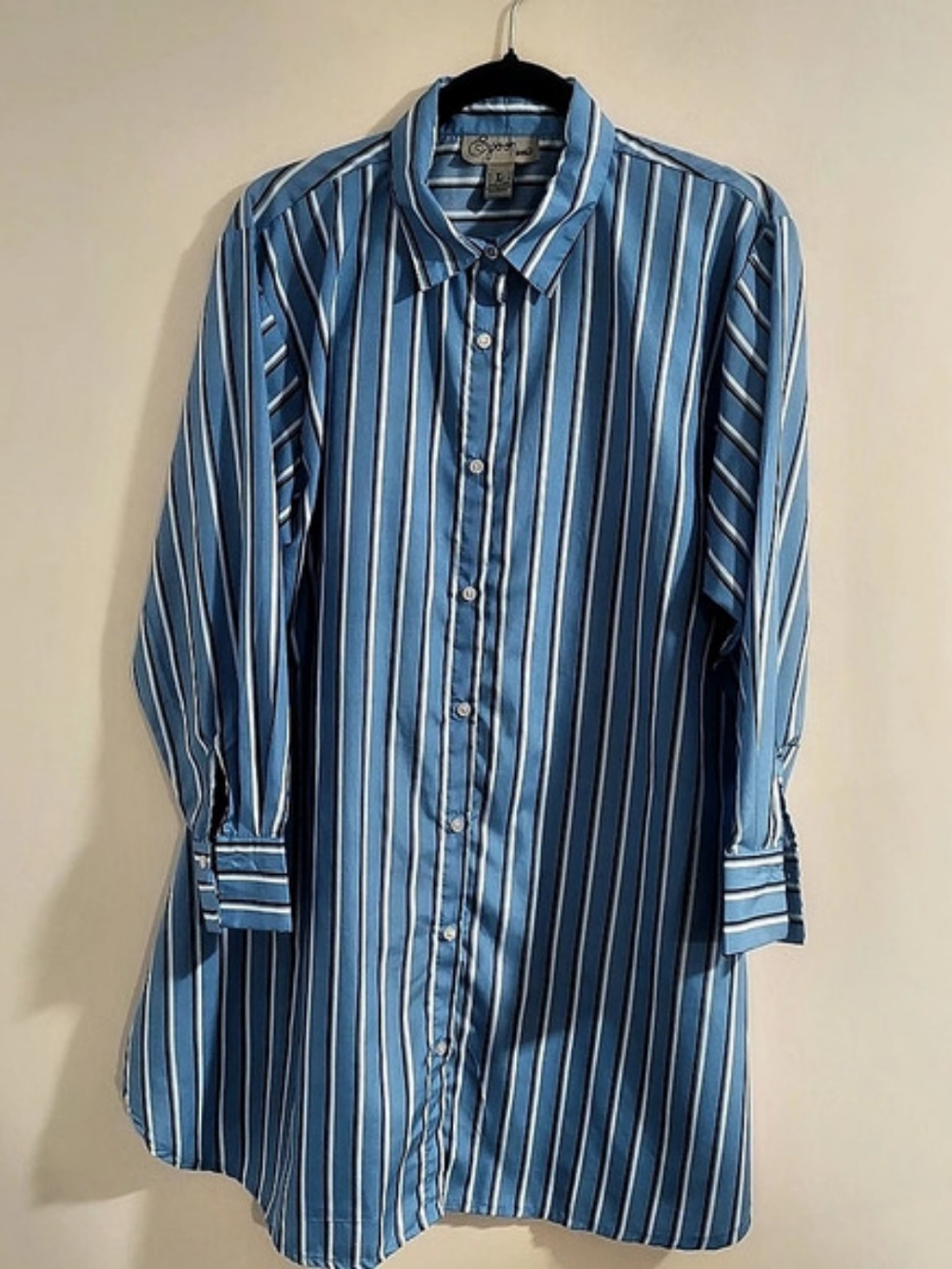 Striped Button Down Top in Blue Size Large
